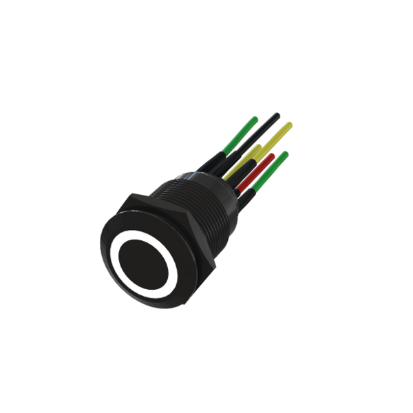 Bouton poussoir noir - gamme intom
