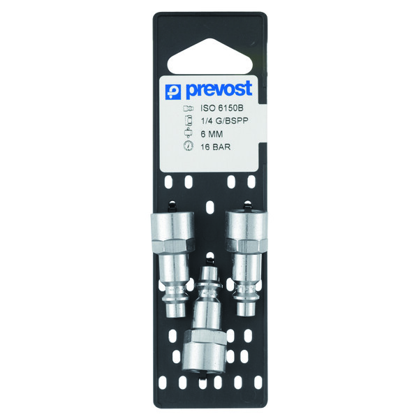 Embout filetage femelle cylindrique g1/4 (par 3)
