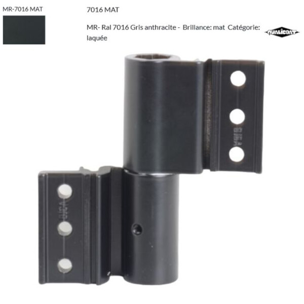 Paumelle 2 lames velox top