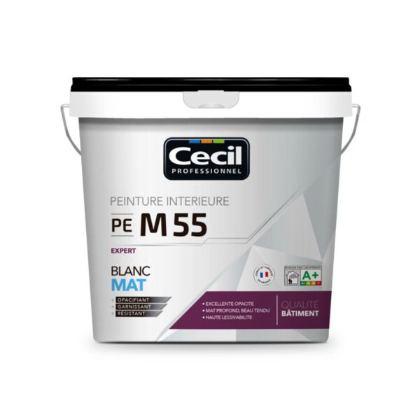 Peinture de finition qualite pro expert 55