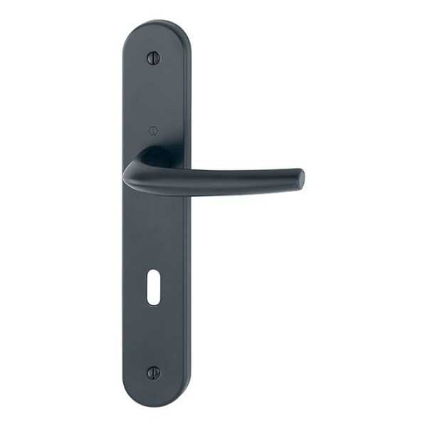 Poignée de porte large san  diego entraxe 195mm
