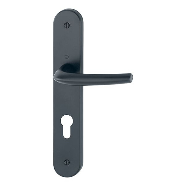 Poignée de porte large san  diego entraxe 195mm