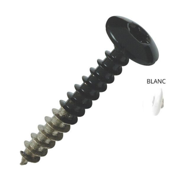 Vis inox pour penture