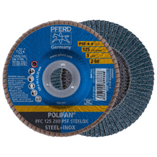 DISQUE A LAMELLES POLIFAN® PSF STEELOX Pferd Ruggeberg France