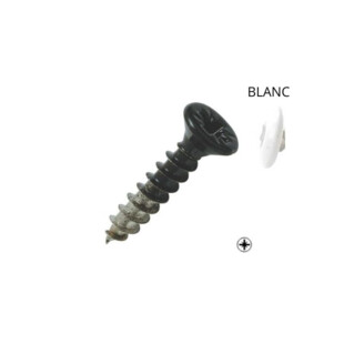 Vis inox tête fraisée pozidriv Torbel