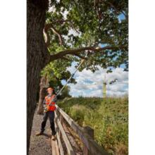 Elagueuse sur perche 18v  20cms