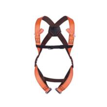 Harnais antichute 2 points