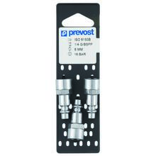 Embout filetage femelle cylindrique g1/4 (par 3)