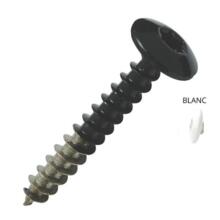 Vis inox pour penture